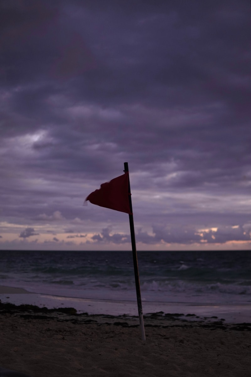 a red flag on a pole on a beach